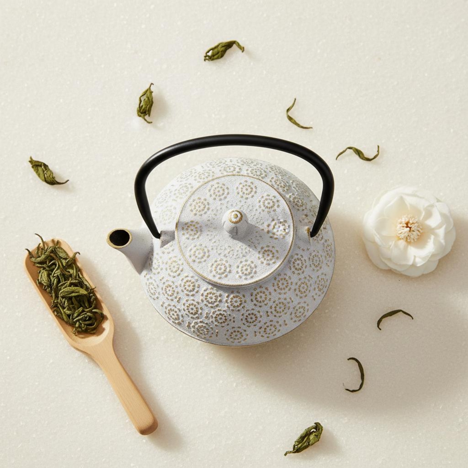 Cast Iron Teapot Speckled Cast - Cast Iron Teapot 리뷰 및 가격