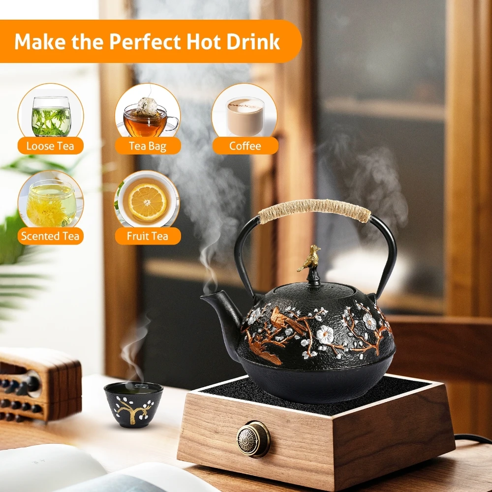 Cast Iron Teapot Set with Alco - Cast Iron Teapot 리뷰 및 가격